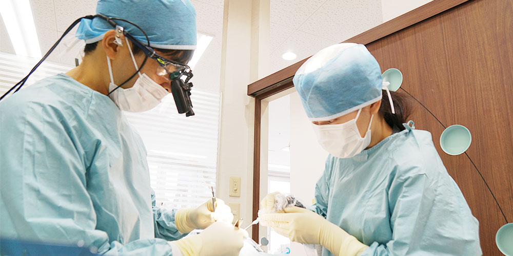 インプラント専門医が担当